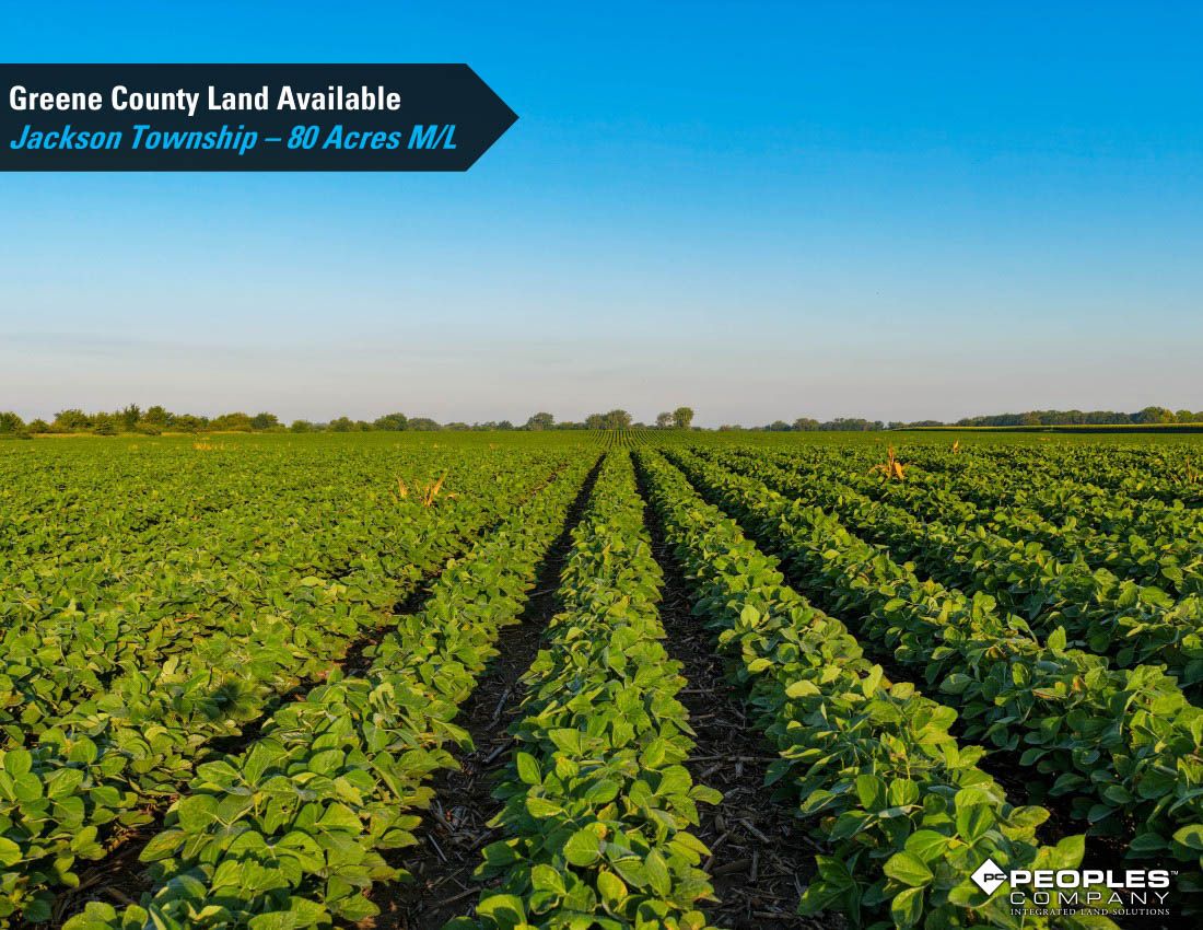 Listing Photo: Greene-County-Iowa-Farmland-Available-80-Acres-Scranton-Jefferson-19706 (3)